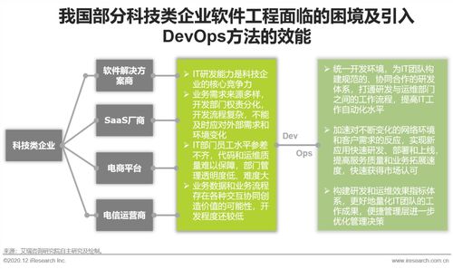 2020年中国DevOps应用发展研究报告 软件开发新纪元的启航