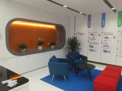 鲤城绿植租赁服务 为您的空间注入持久活力与清新